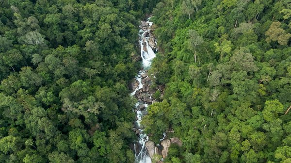 Démarrer en ligne: ouvrir son premier compte bancaire